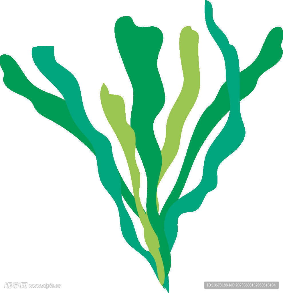 綠色海草插畫