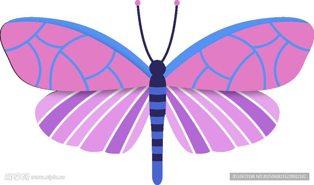 彩色夢幻蝴蝶插畫圖案