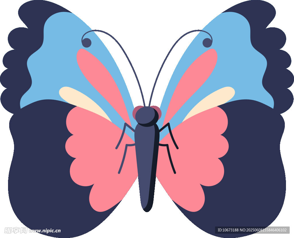 彩色蝴蝶插畫圖案設計