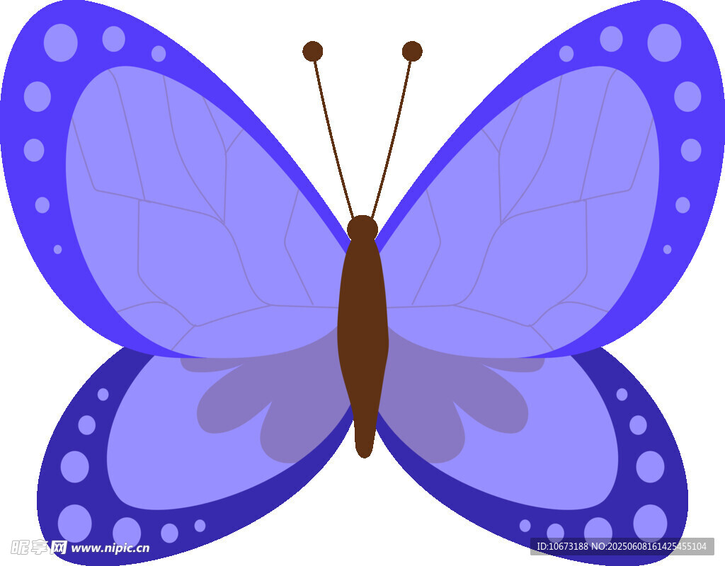 藍色蝴蝶插畫