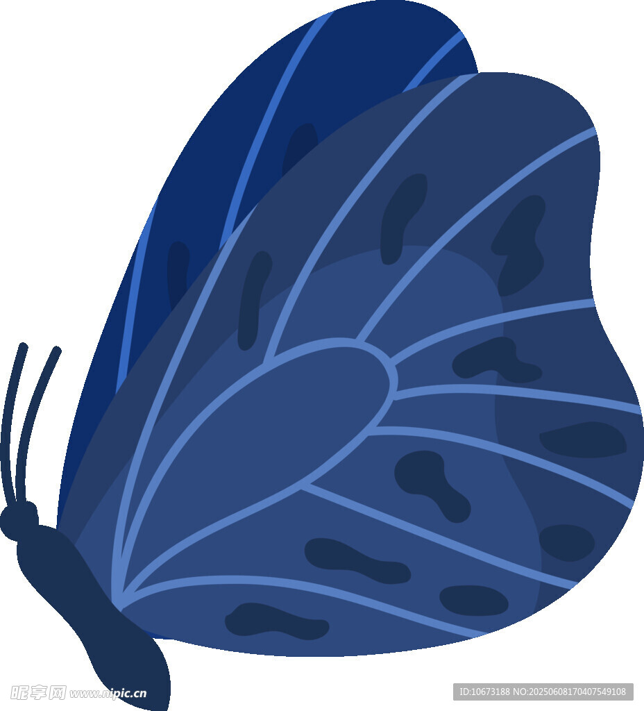 藍色蝴蝶插畫