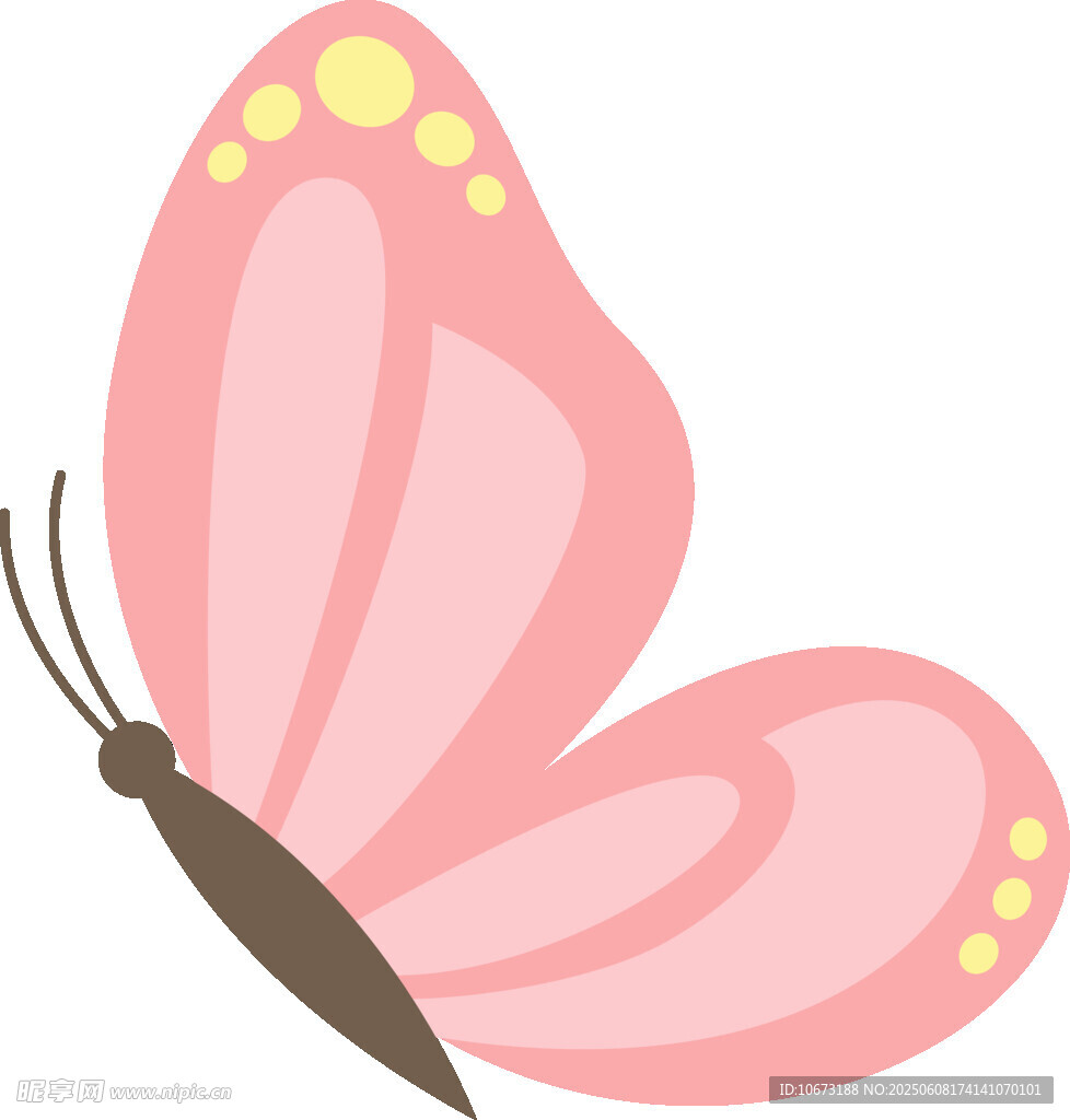 粉色蝴蝶插畫