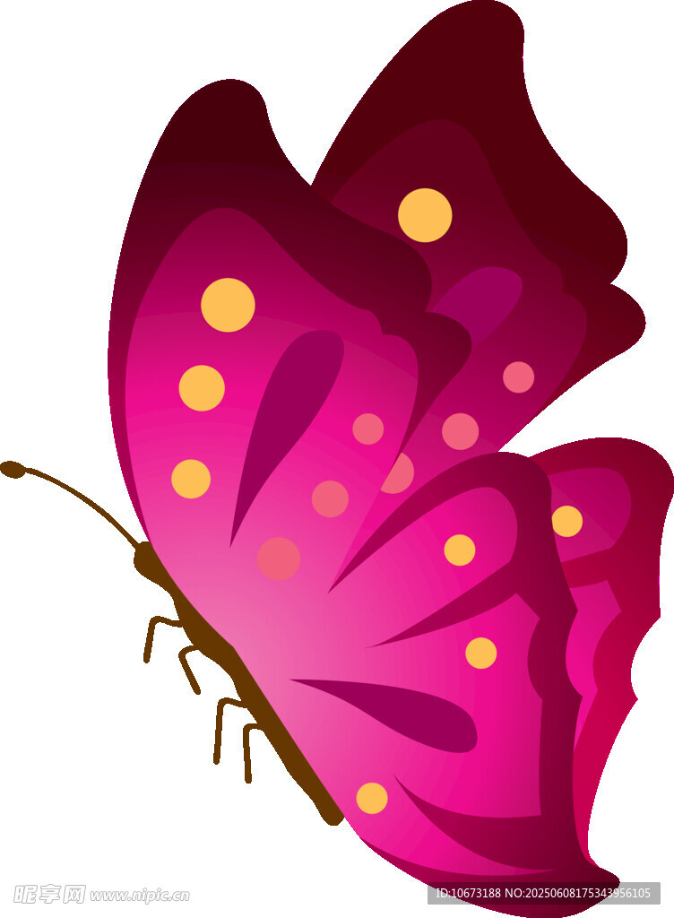 粉色斑點(diǎn)蝴蝶插畫(huà)