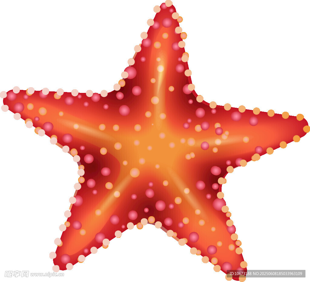 紅色海星插畫