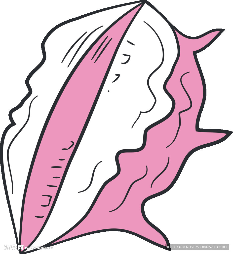 粉色貝殼插畫