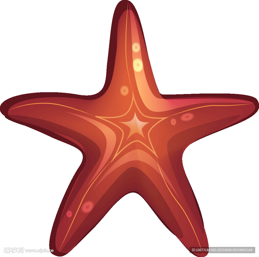 紅色海星插畫