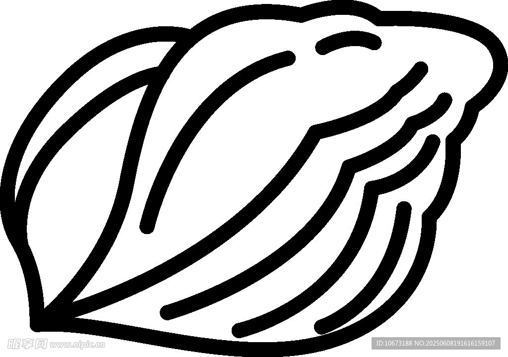 簡(jiǎn)約線條繪制的堅(jiān)果圖形