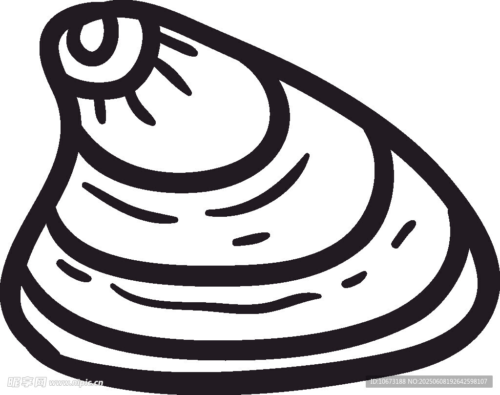 簡(jiǎn)約線條貝殼插畫(huà)