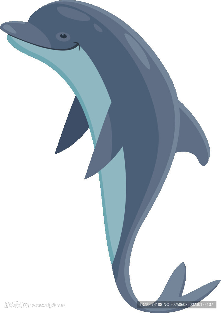 可愛海豚插畫