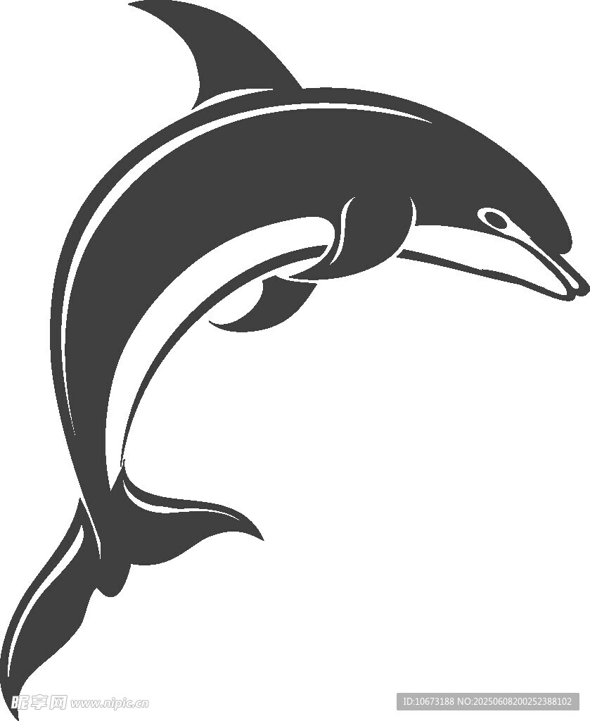 躍起的海豚圖案