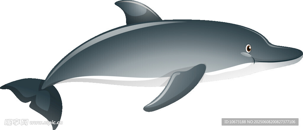 可愛(ài)海豚插畫(huà)