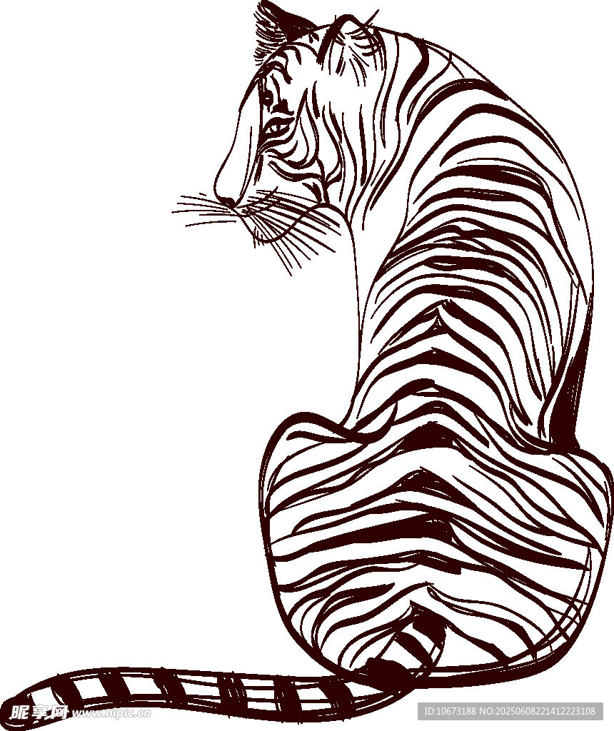 坐姿老虎黑白線條插畫
