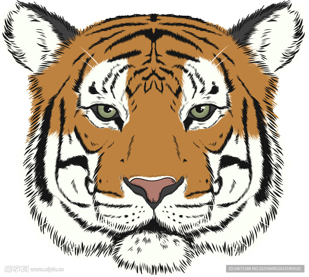 老虎頭像插畫