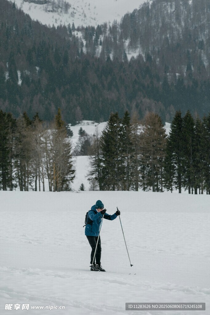 雪地中的單人滑雪者