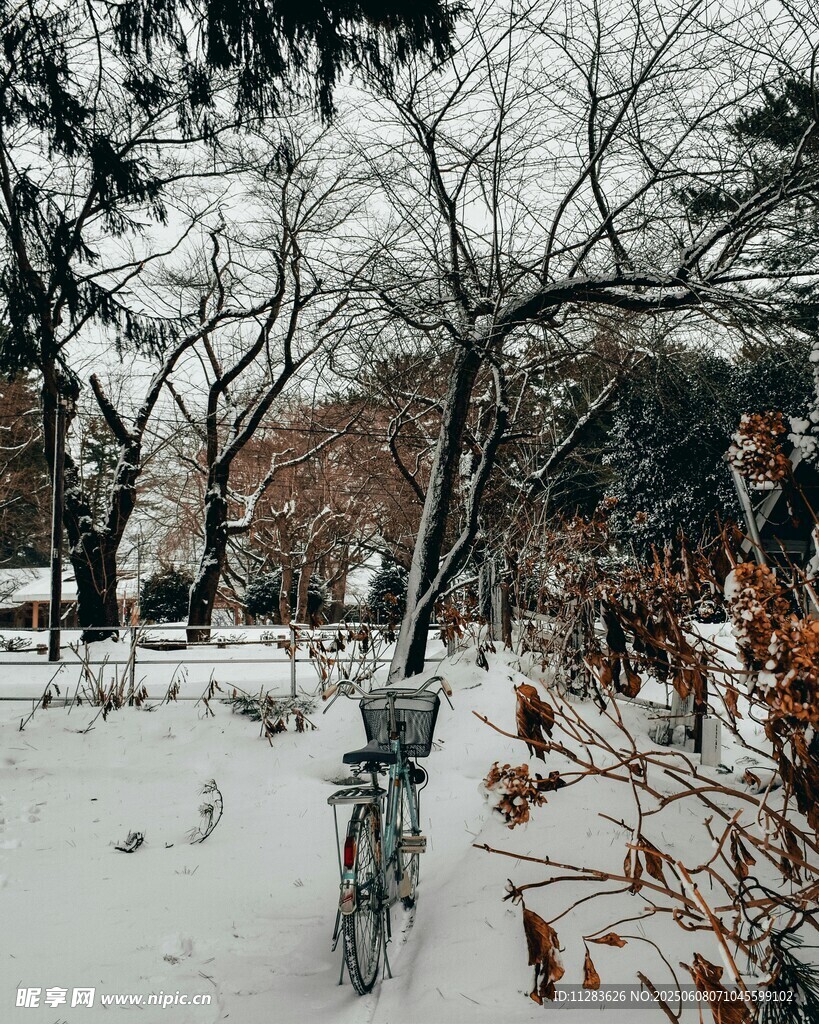 冬日雪景中的自行車與樹木