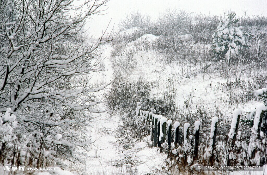 冬日雪景中的鄉(xiāng)間小道