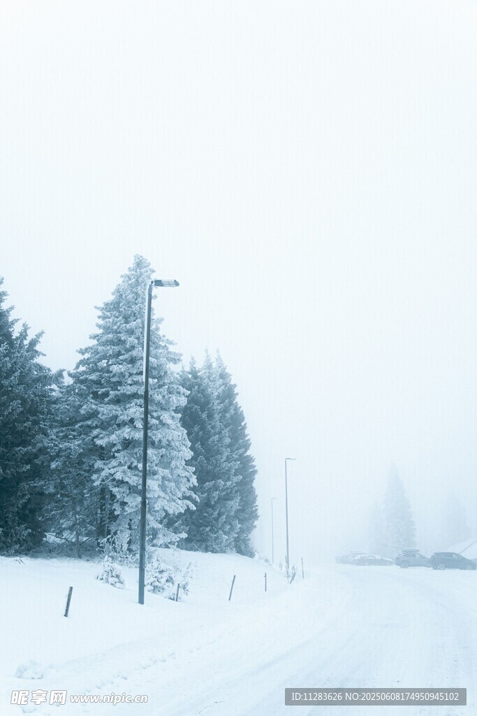 冬日雪景中的靜謐林間道路