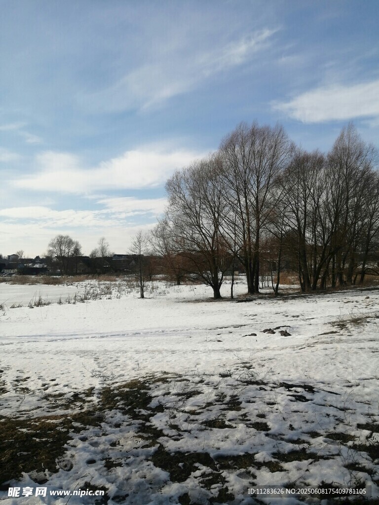 冬日雪野風景