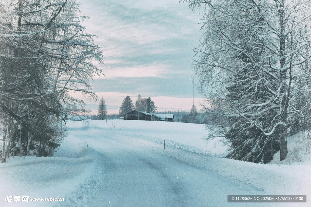 冬日雪路風景