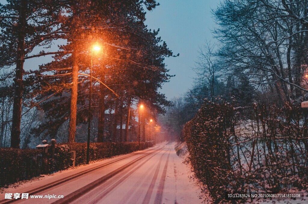 雪夜林間小路暖燈相伴