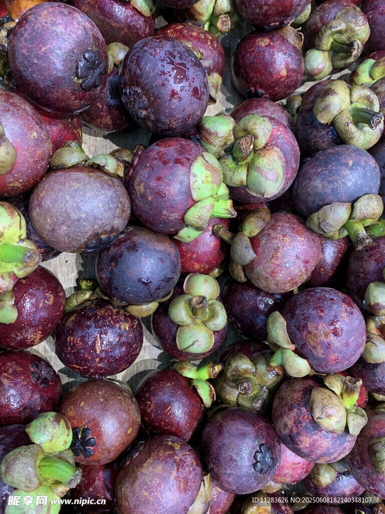 飽滿山竹果實(shí)特寫