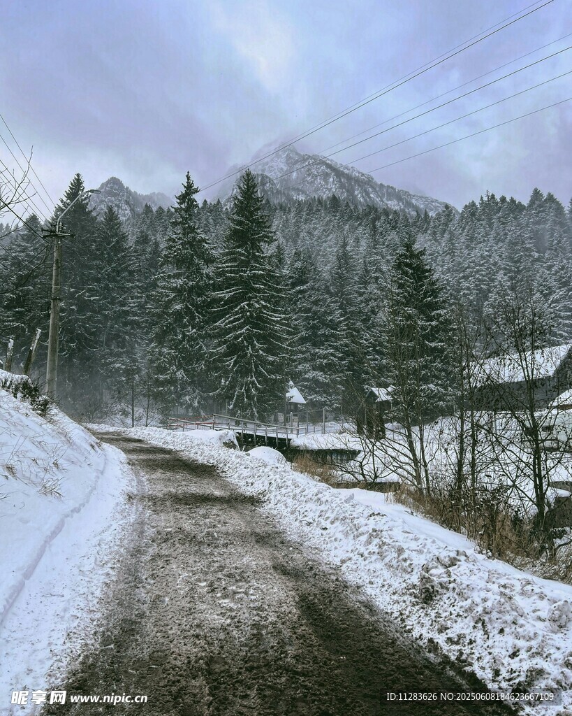 冬日雪覆山林間小路