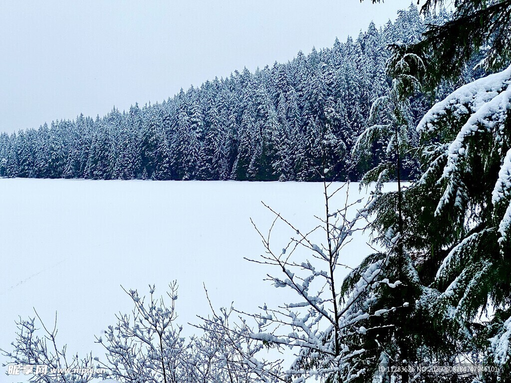 冬日雪覆森林與冰封湖面