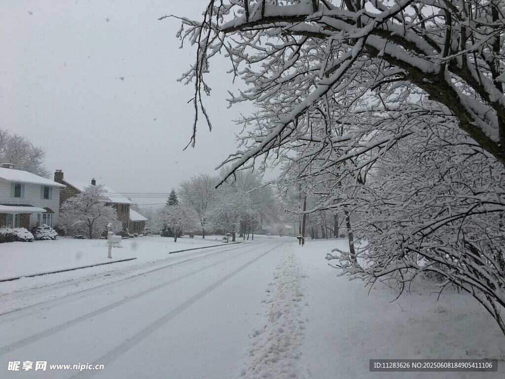 雪后靜謐街道景象