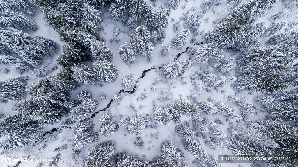 冬日雪景俯瞰圖