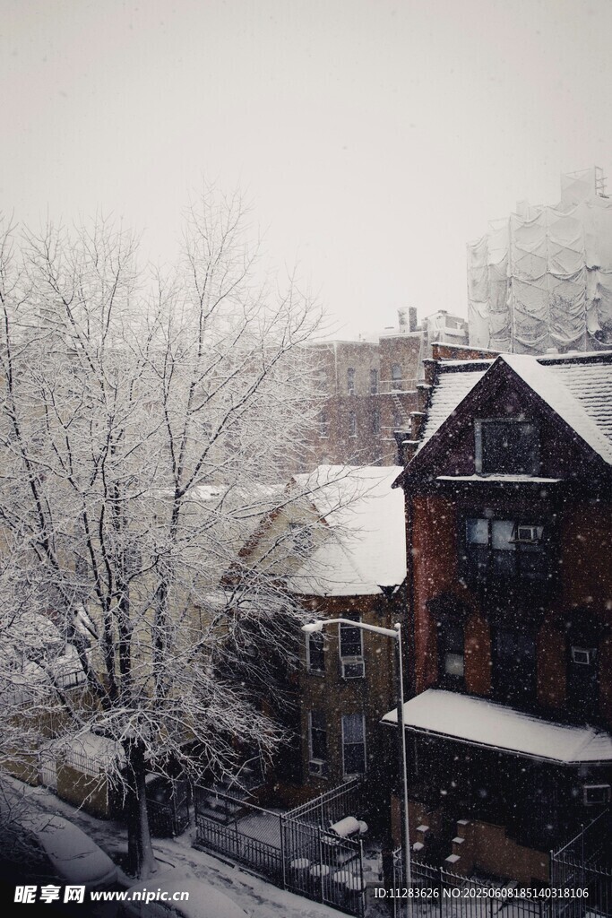 雪覆小屋冬日靜謐景象