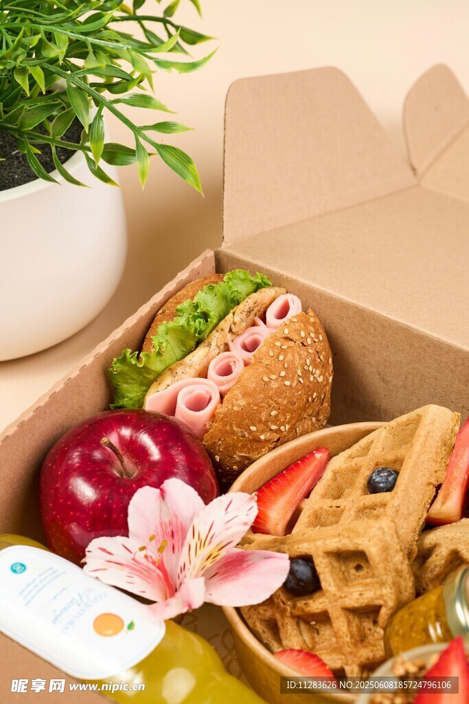 美味便當(dāng)與清新綠植相伴