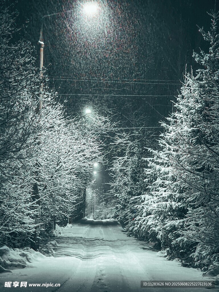 雪夜林間小路燈光映照