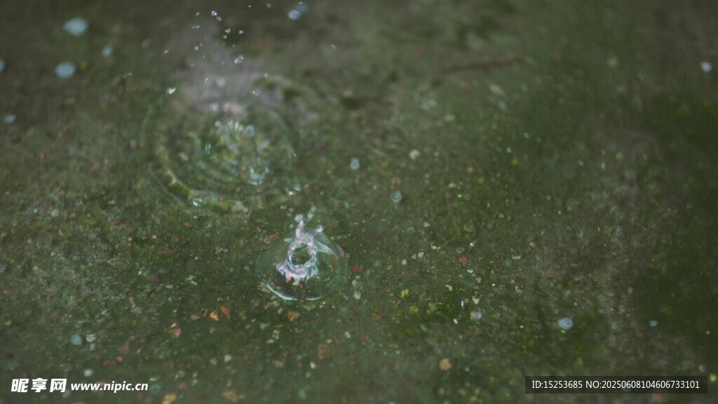 草地上的白色神秘痕跡