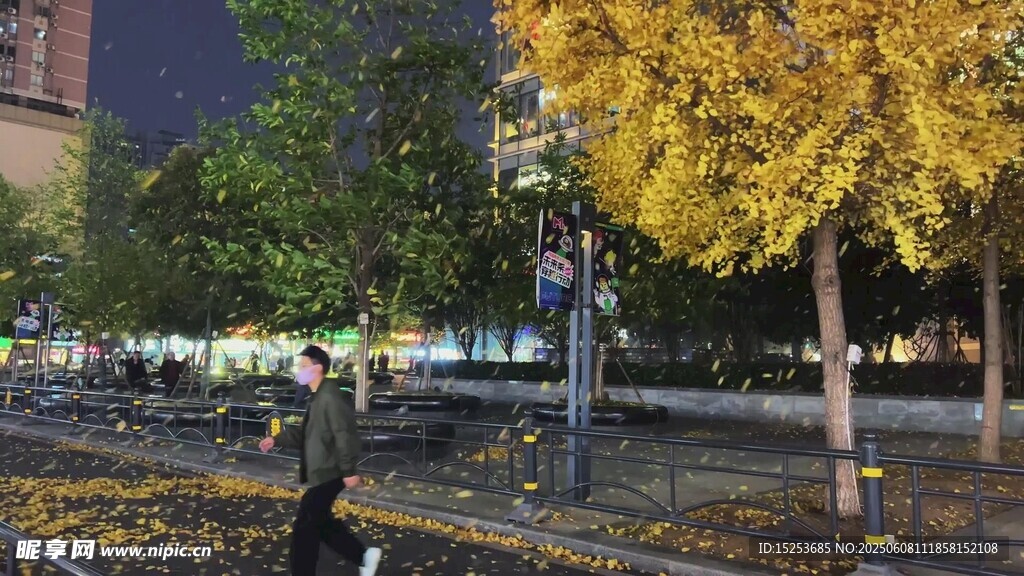 秋夜城市街道黃葉景觀