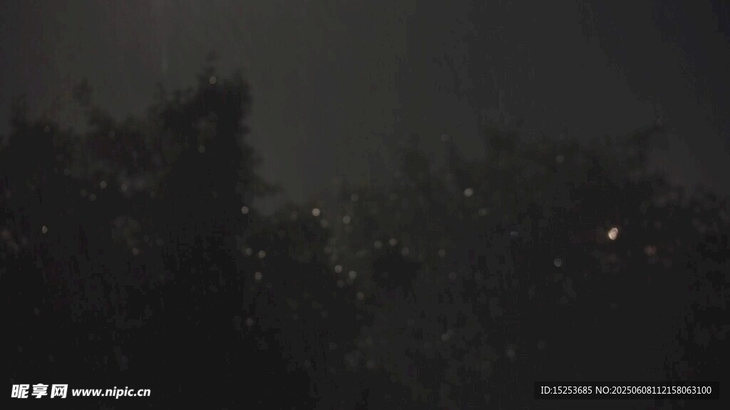 夜幕下的朦朧樹木景觀