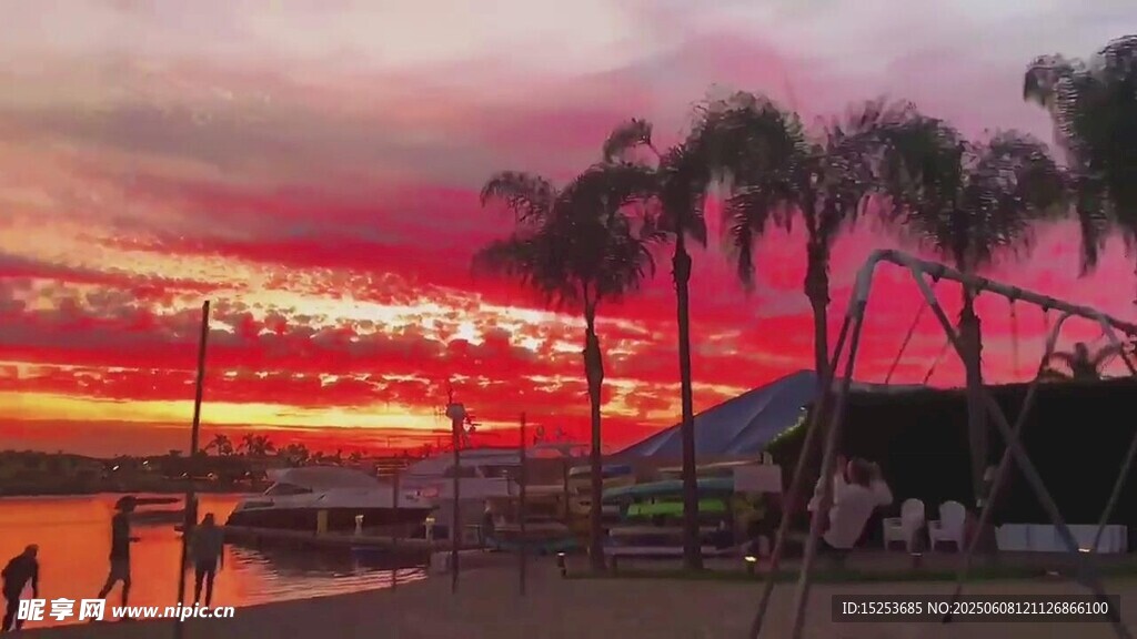 夕陽下的海濱棕櫚樹美景