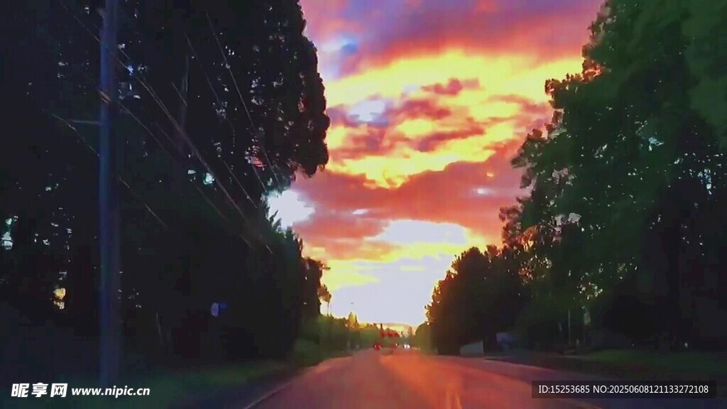 夕陽下的林間公路美景