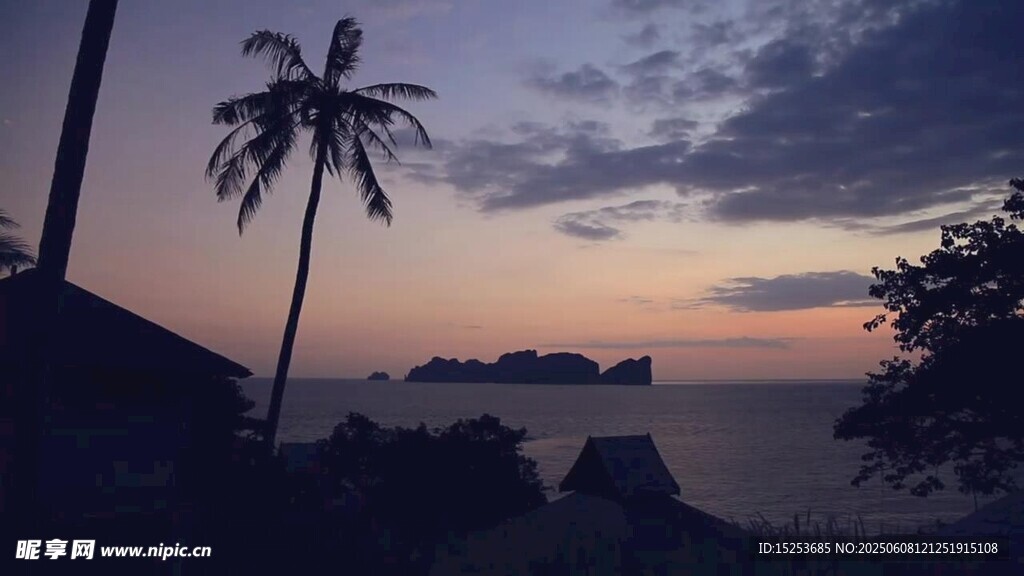 黃昏下的海邊椰樹美景