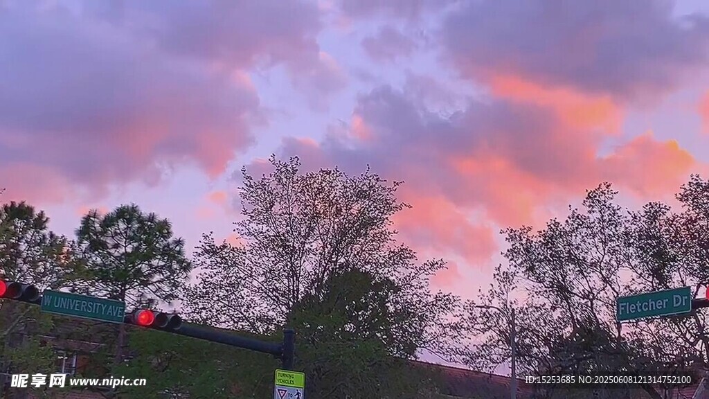 晚霞下的樹木與建筑景觀