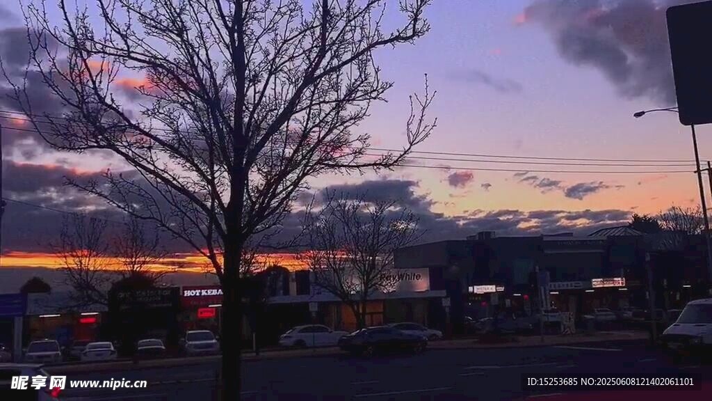 黃昏下的光禿樹(shù)木與城市景