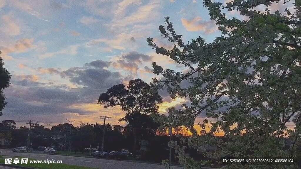 黃昏下的樹木與絢麗天空