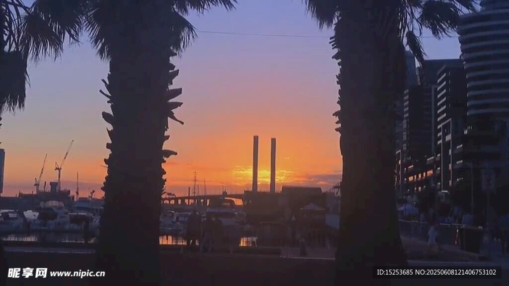 夕陽下的城市與棕櫚樹景觀