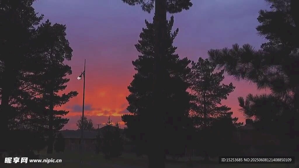 夕陽下的森林美景