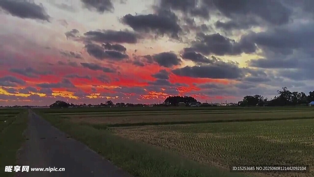 夕陽下的田野公路美景