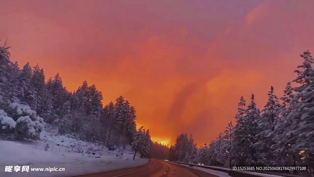 冬日雪林夕陽(yáng)美景