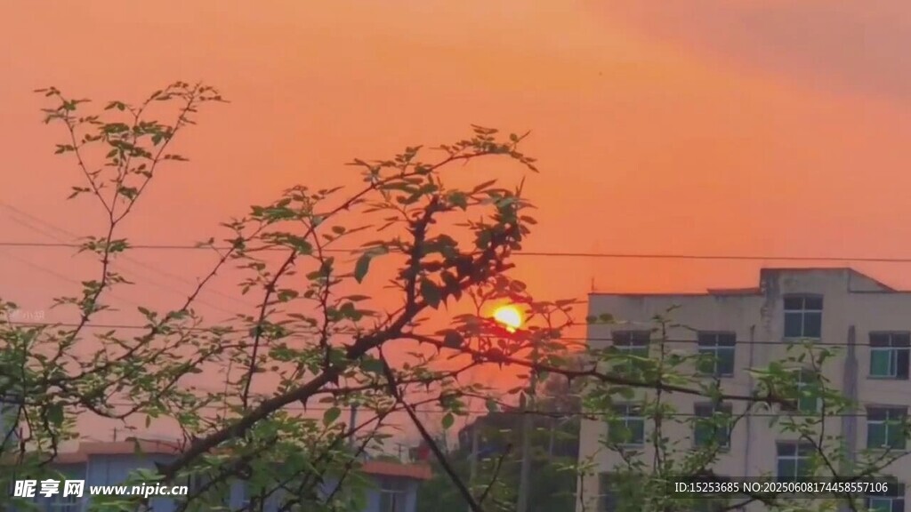夕陽下的樹梢與建筑