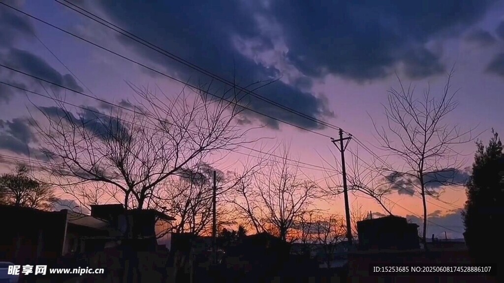黃昏下的樹木與絢爛天空