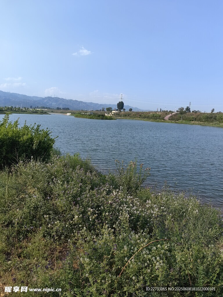 湖畔綠野風光