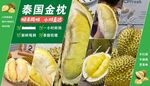 泰國金枕榴蓮
