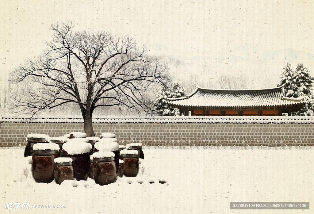 雪景